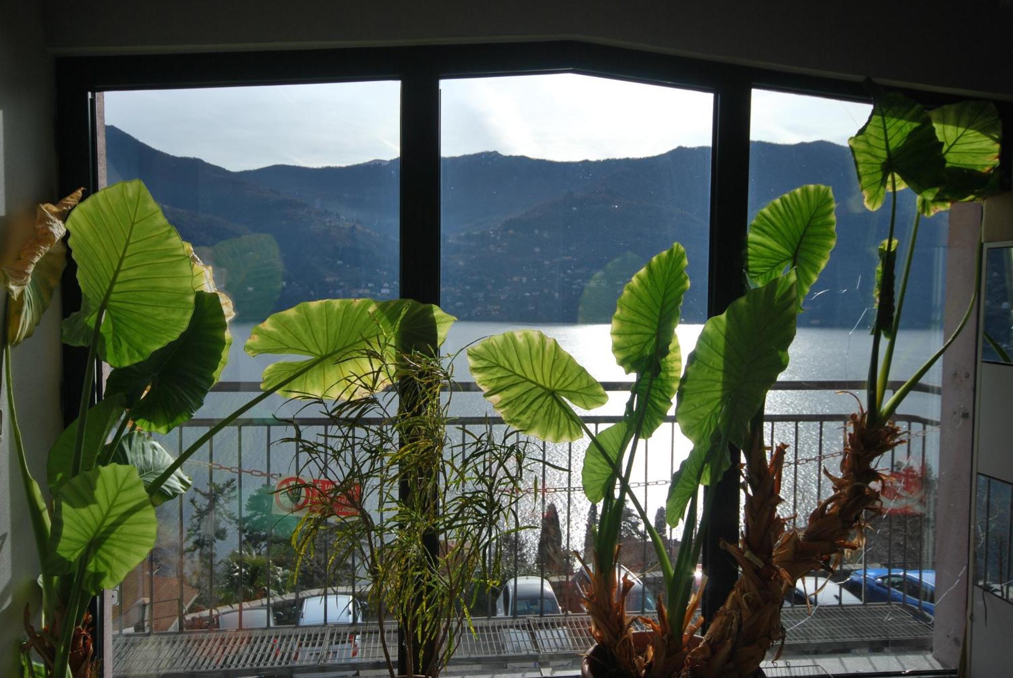 Ferienwohnung Andrea Olga House Laglio Exterior foto